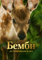  Бемби. История жизни в лесу смотреть онлайн (2024) 