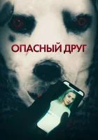  Опасный друг смотреть онлайн (2022) 