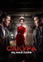  Сакура смотреть онлайн (2024) 