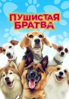  Пушистая братва смотреть онлайн (2023) 